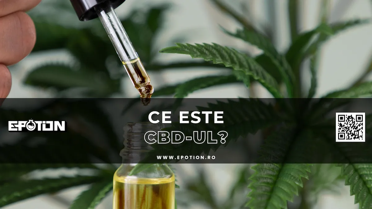 ce este cbd-ul