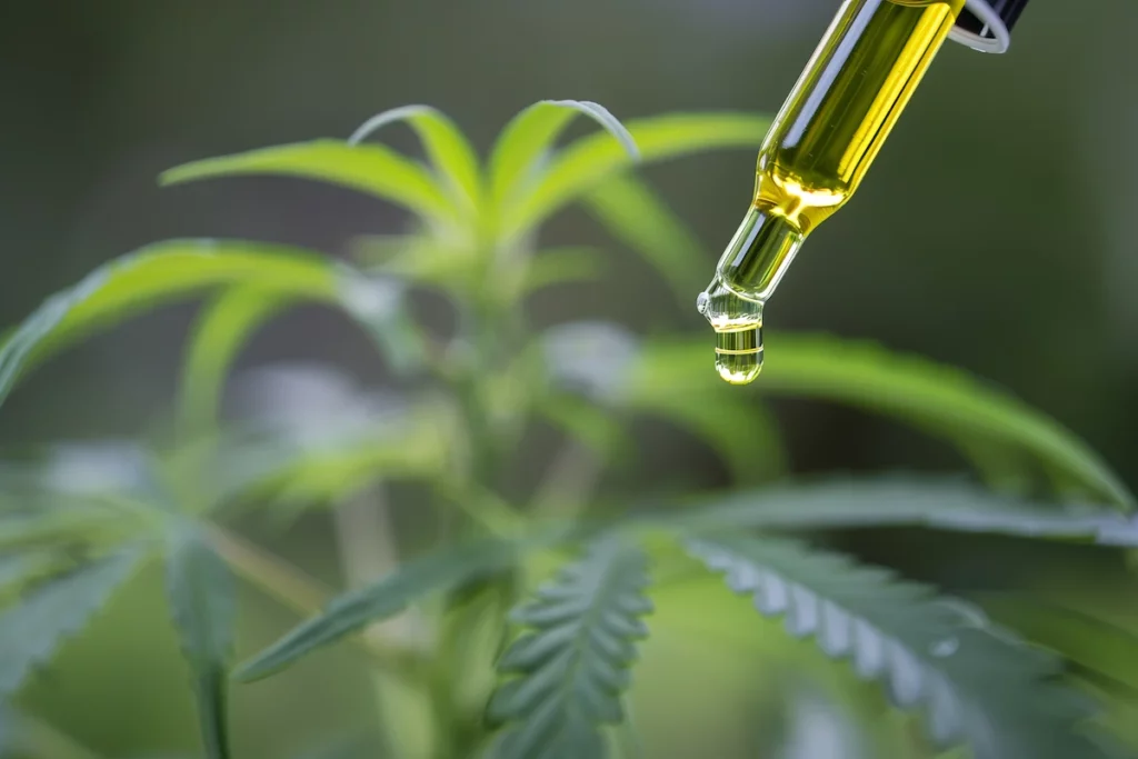 ce este ulei de cbd