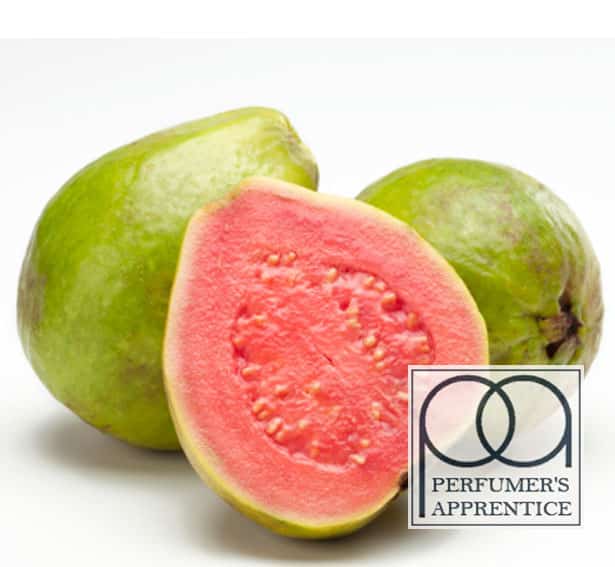 Aroma The Perfumers Apprentice Guava 10ml