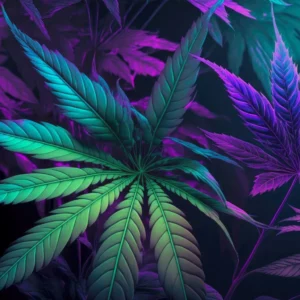 Ce trebuie sa stii despre lichidele de vapat cu CBD