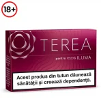 HEETS TEREA Russet