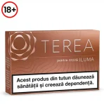 HEETS TEREA Teak