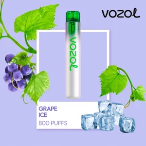 Vozol Neon 800 - Grape Ice 2%