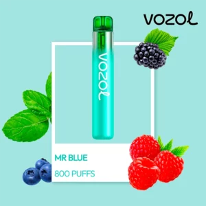 Vozol Neon 800 - Mr Blue 2%