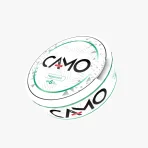 Pouch cu Nicotina CAMO 6mg - Peppermint