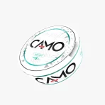 Pouch cu Nicotina CAMO 6mg - Wild Mint