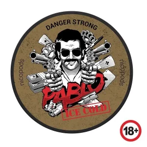 Pouch Pablo Ice Cold 16g