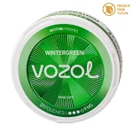 Pouch VOZOL Wintergreen 9mg