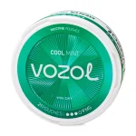 Pouch VOZOL Cool Mint 9mg