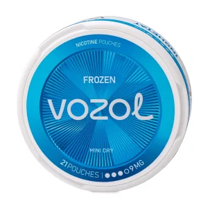 Pouch VOZOL Frozen 9mg