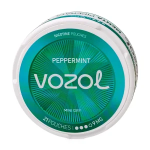 Pouch VOZOL Peppermint 9mg