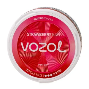 Pouch VOZOL Strawberry Kiwi 9mg