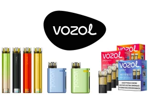 Țigară Electronică Vozol Păreri: Performanță, Durata De Viață A Bateriei Și Calitate