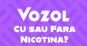 Vozol Cu sau Fără Nicotină: Ce Alegi și De Ce?